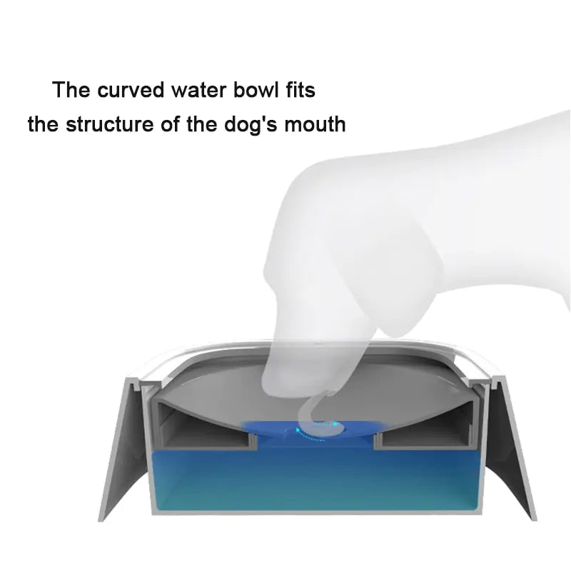 PetifyHub™ Pet Water Drinker